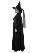 Plus Size Premium Wizard of Oz Wicked Witch Costume Alt 2