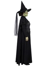 Plus Size Premium Wizard of Oz Wicked Witch Costume Alt 3