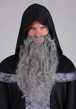 Mens Regal Court Wizard Costume Robe Alt 4