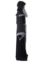 Mens Regal Court Wizard Costume Robe Alt 3
