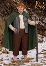 Plus Size Samwise Lord of the Rings Costume