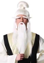 Adult Ancient Martial Arts Master Costume Wig Kit