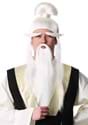 Adult Ancient Martial Arts Master Costume Wig Kit